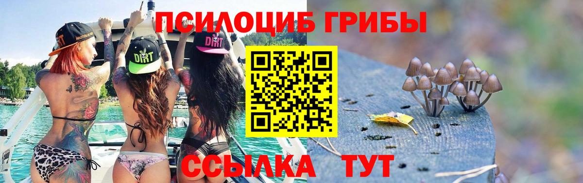 Галлюциногенные грибы GOLDEN TEACHER  Вход с VPN  купить наркотики цена  Азнакаево 